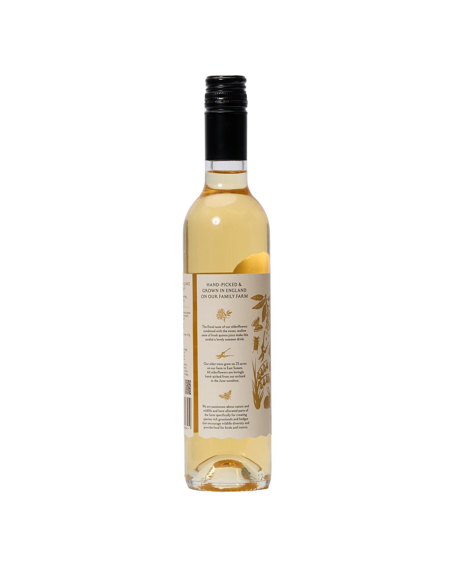 Elderflower & Quince Cordial